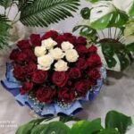 images-5